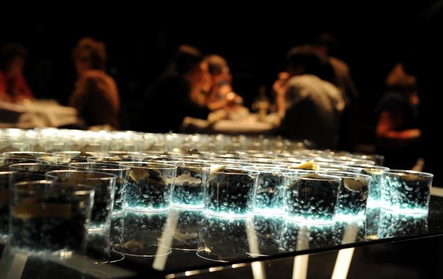 design culinaire - julie Rothhahn - food design - installation culinaire - performance culinaire