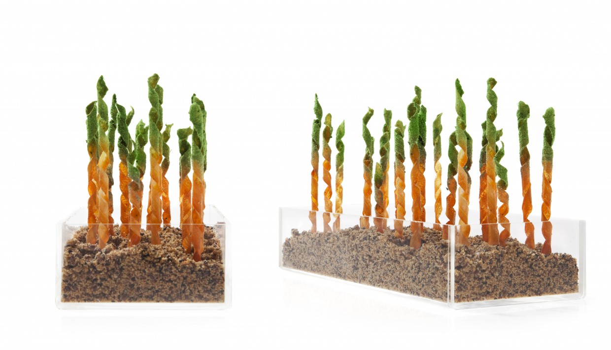 design culinaire - julie Rothhahn - food design - installation culinaire - performance culinaire