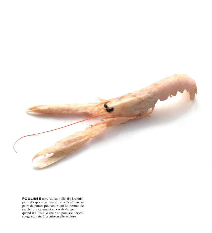 design culinaire - julie Rothhahn - food design - installation culinaire - performance culinaire