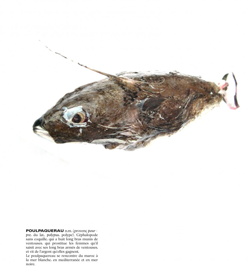 design culinaire - julie Rothhahn - food design - installation culinaire - performance culinaire