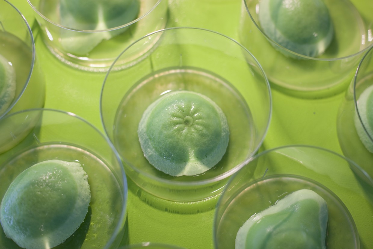 design culinaire - julie Rothhahn - food design - installation culinaire - performance culinaire