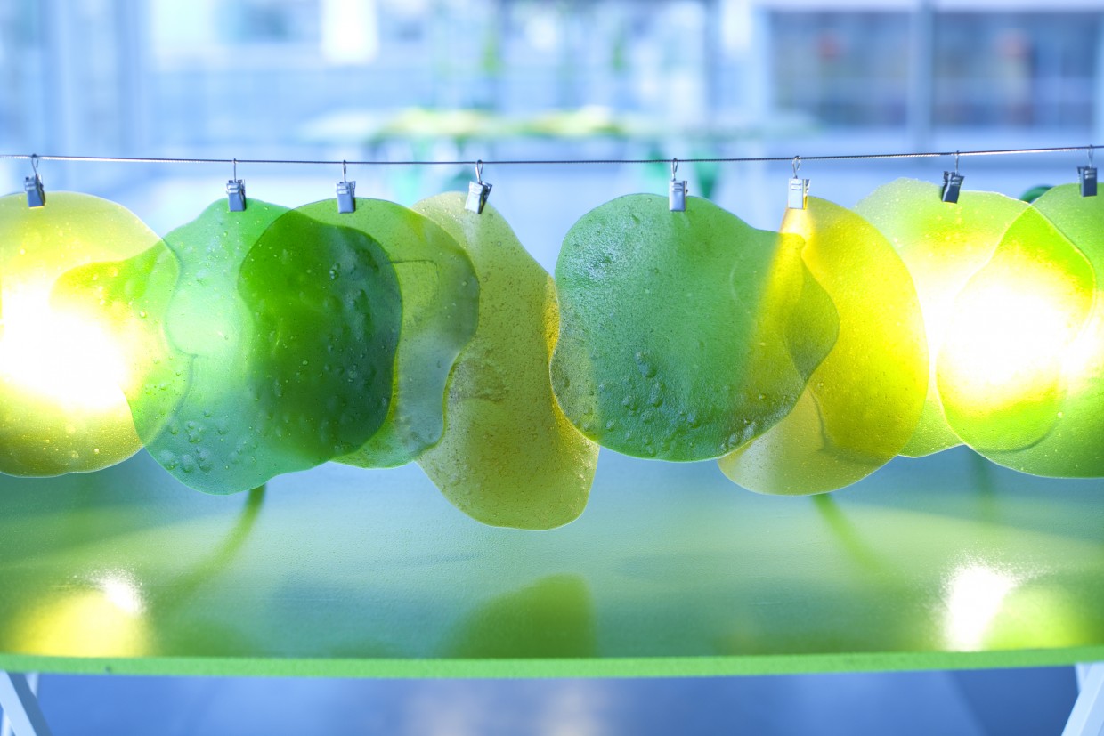 design culinaire - julie Rothhahn - food design - installation culinaire - performance culinaire