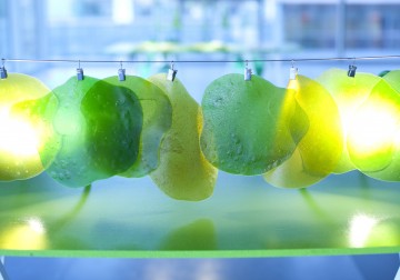 design culinaire - julie Rothhahn - food design - installation culinaire - performance culinaire