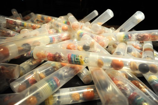 design culinaire - julie rothhahn