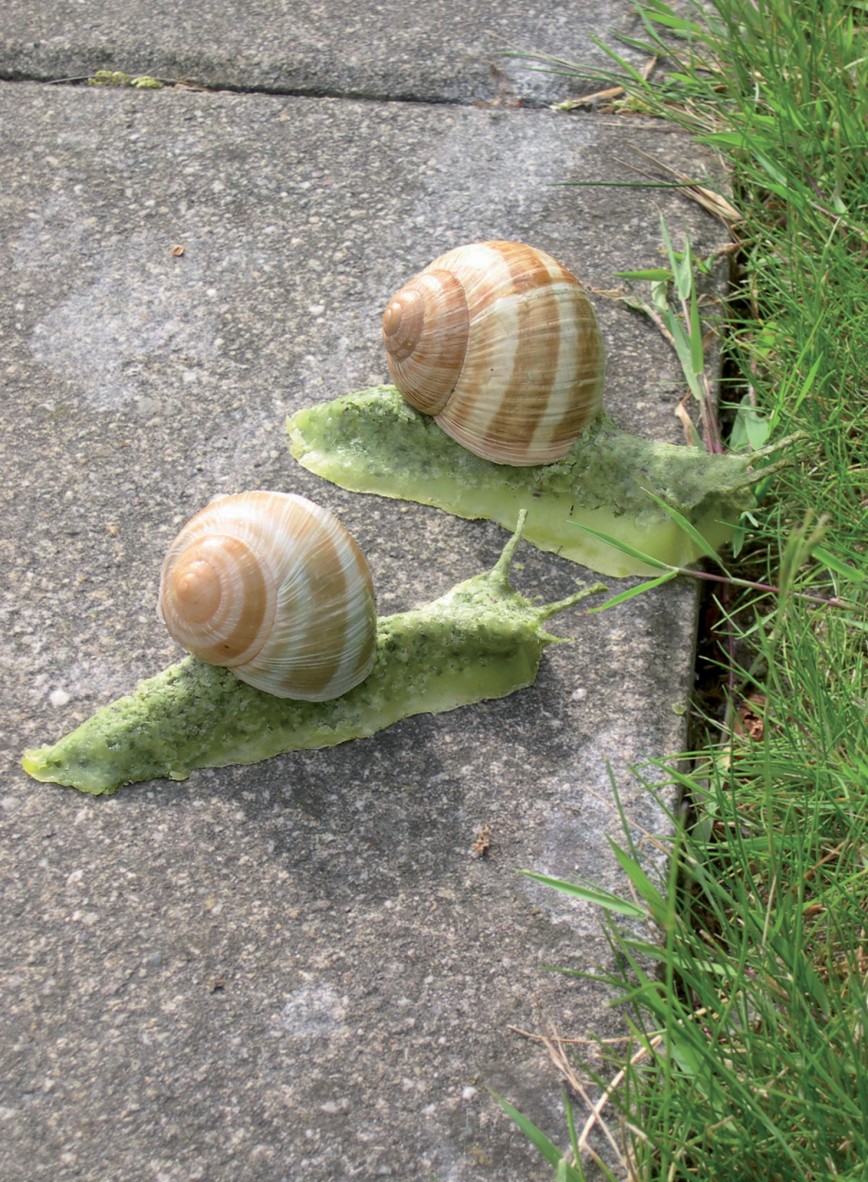 design culinaire - julie Rothhahn - food design - installation culinaire - performance culinaire