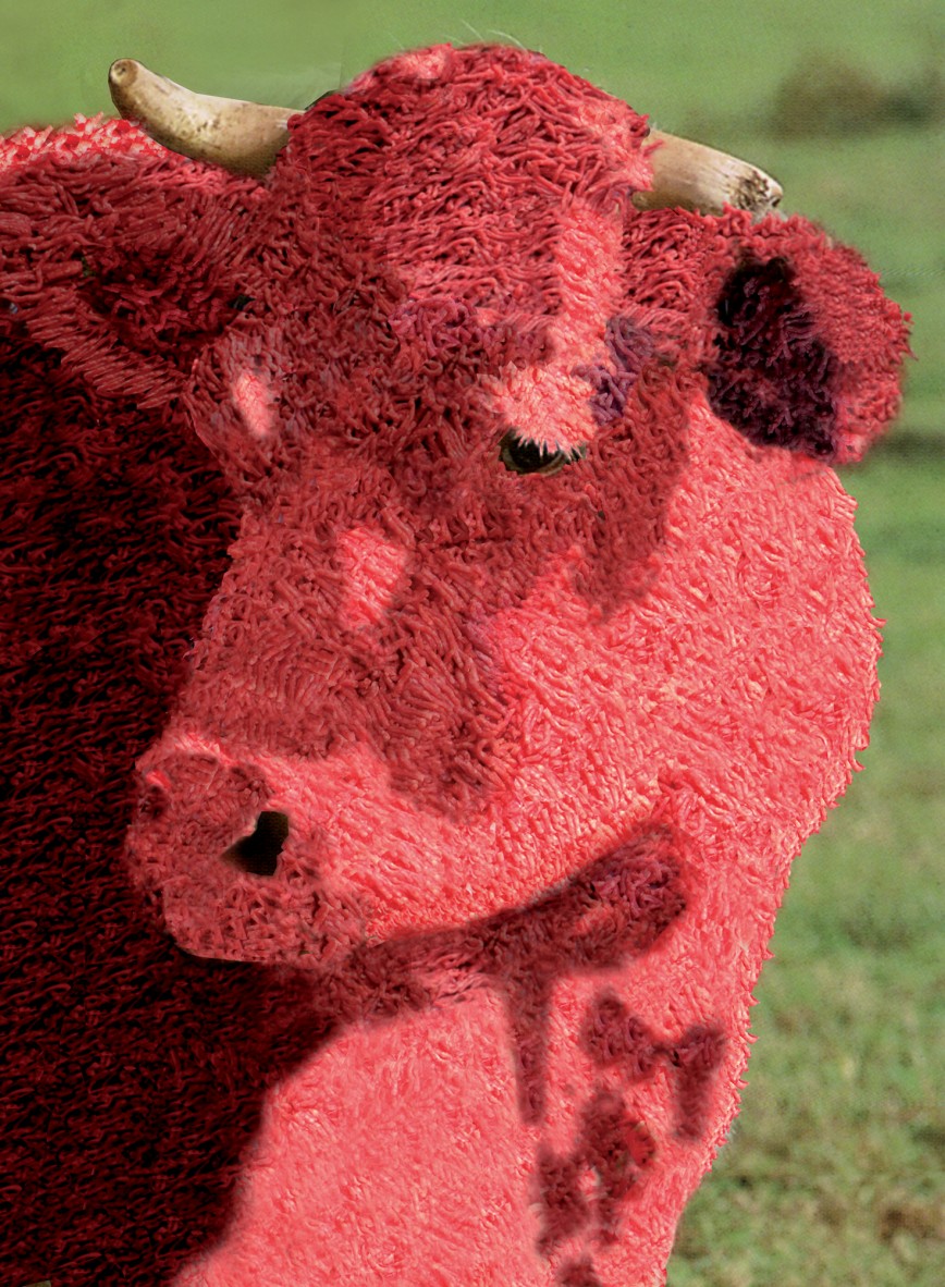 design culinaire - julie rothhahn